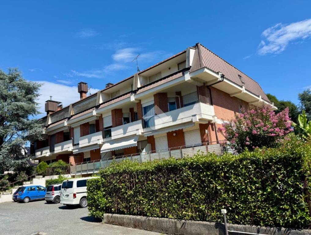 immagine annuncio 2 di 14