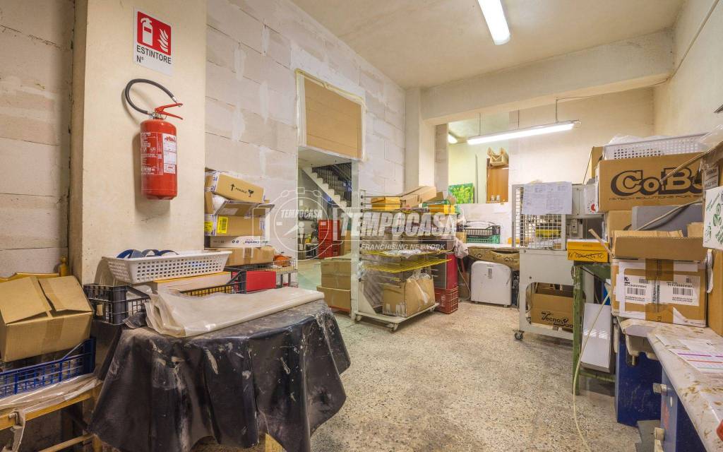 immagine annuncio 10 di 15