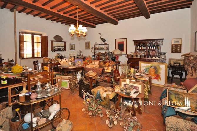 immagine annuncio 11 di 15