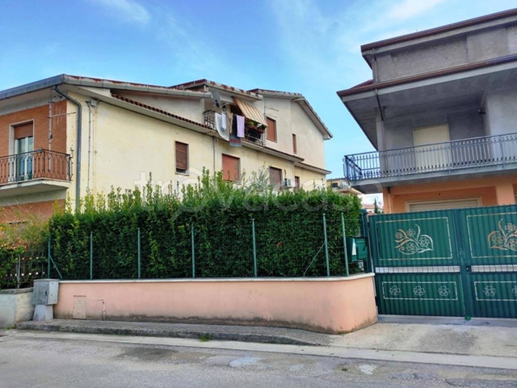 immagine annuncio 9 di 12