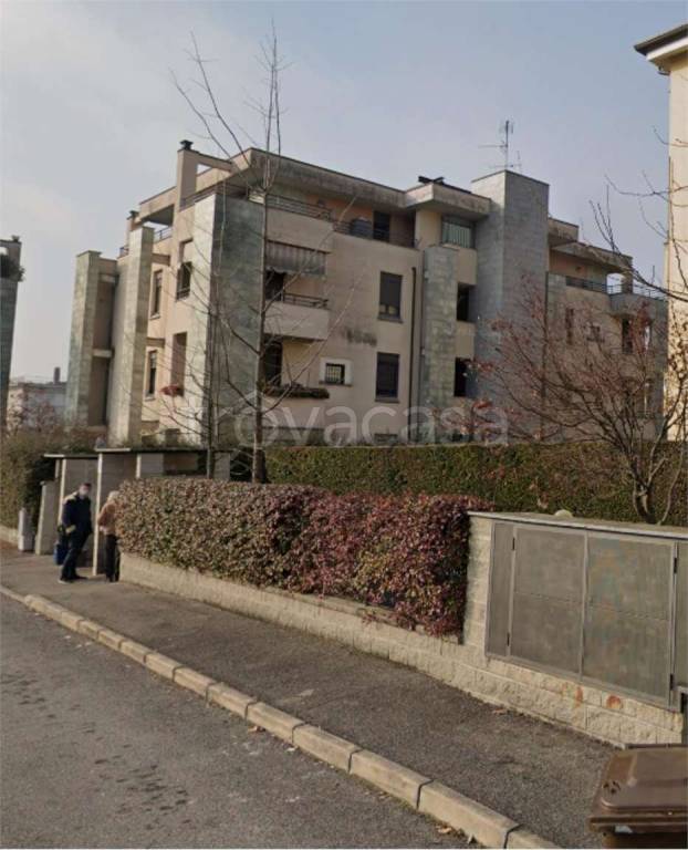 immagine annuncio 6 di 15