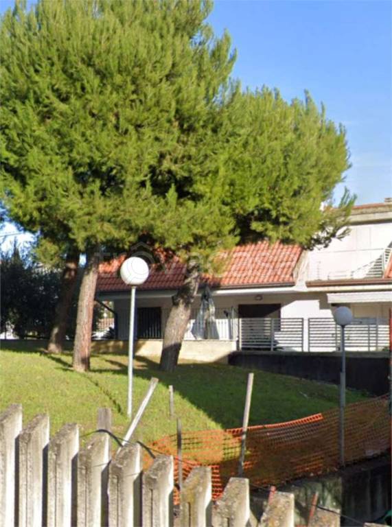 immagine annuncio 5 di 12