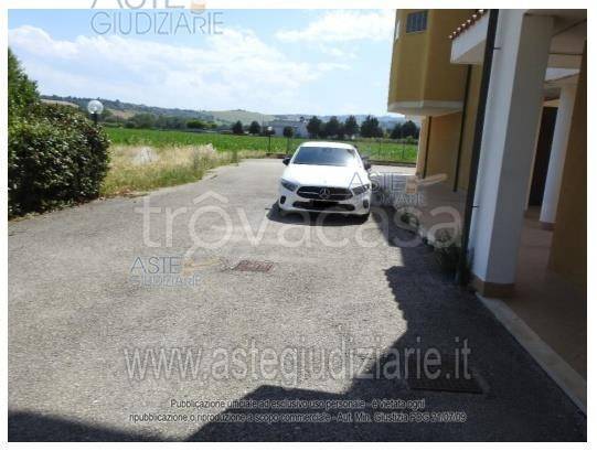 immagine annuncio 1 di 6
