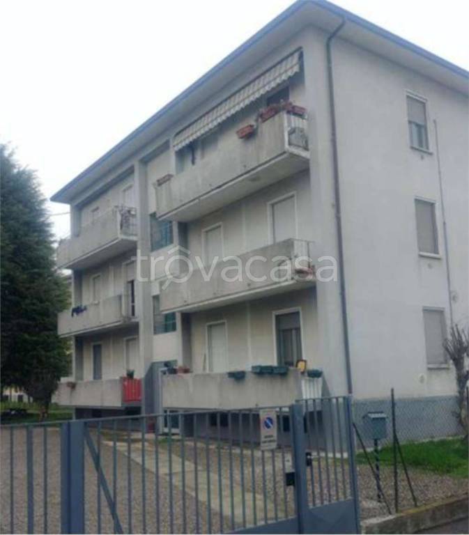 immagine annuncio 9 di 12