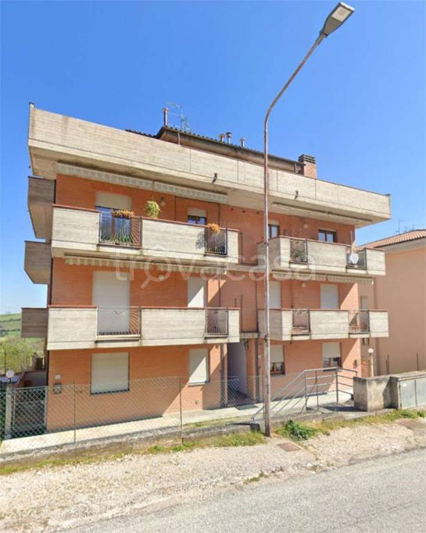 immagine annuncio 5 di 12
