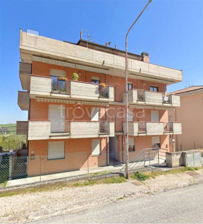 immagine annuncio 6 di 12