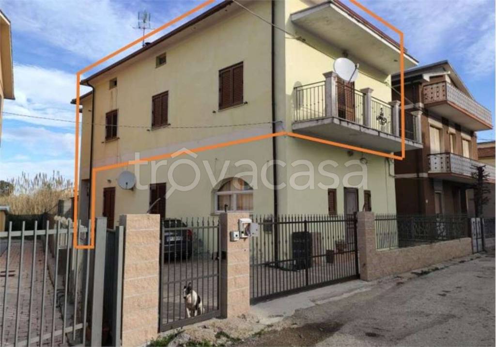 immagine annuncio 1 di 12