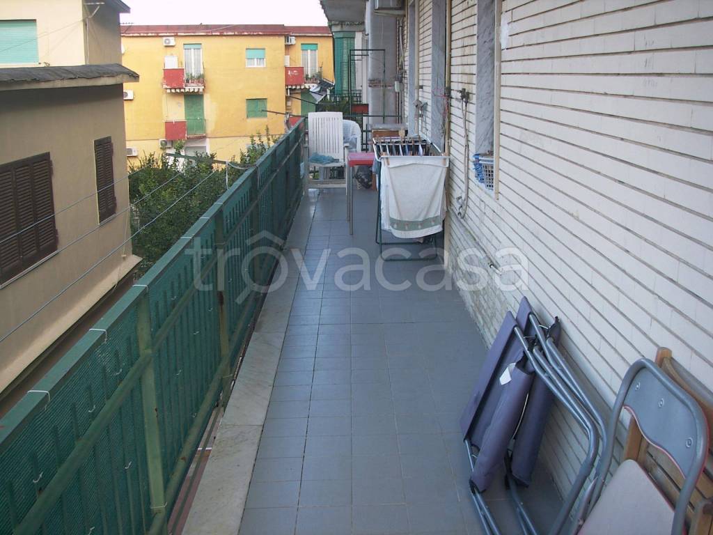 immagine annuncio 3 di 14