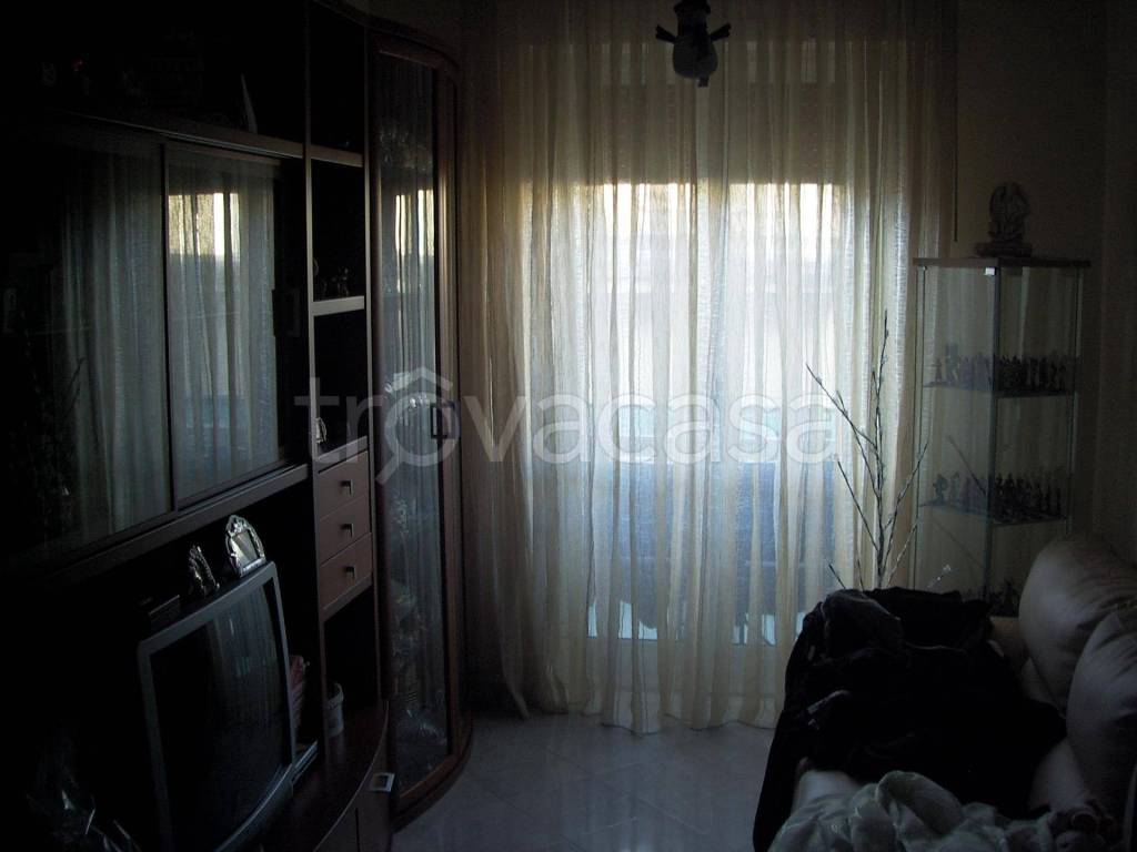 immagine annuncio 6 di 14