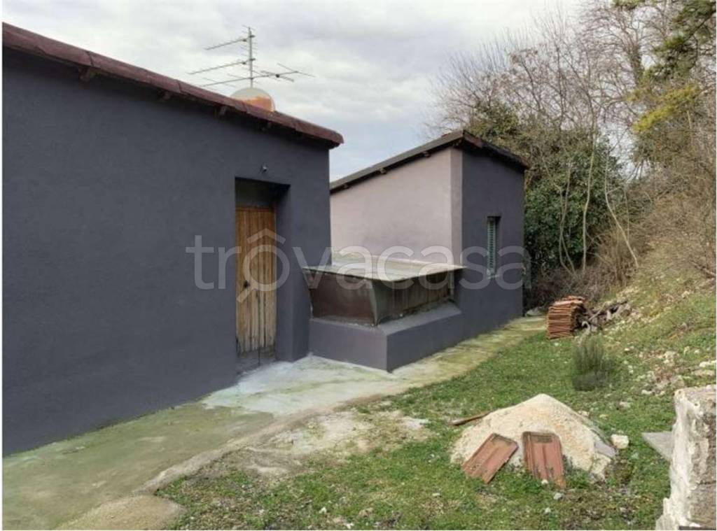 immagine annuncio 12 di 13