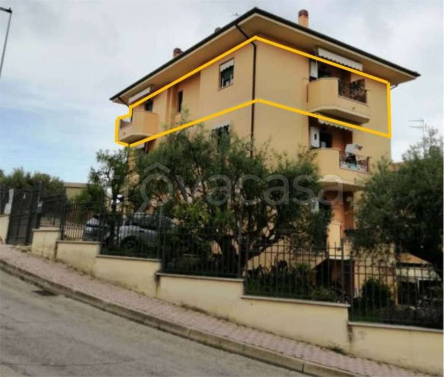 immagine annuncio 1 di 14