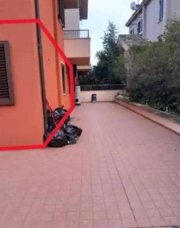 immagine annuncio 5 di 12