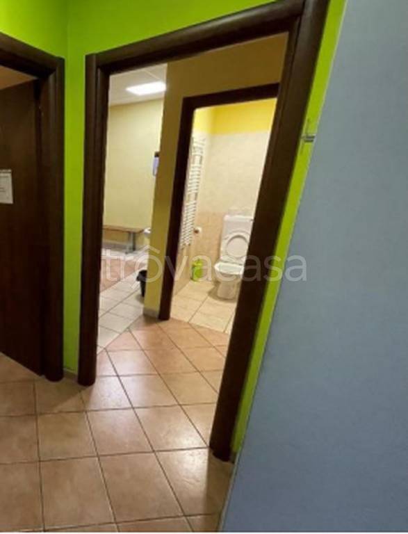 immagine annuncio 6 di 14
