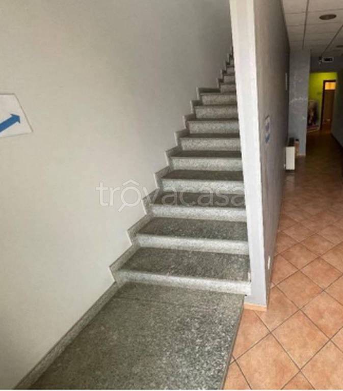 immagine annuncio 8 di 14