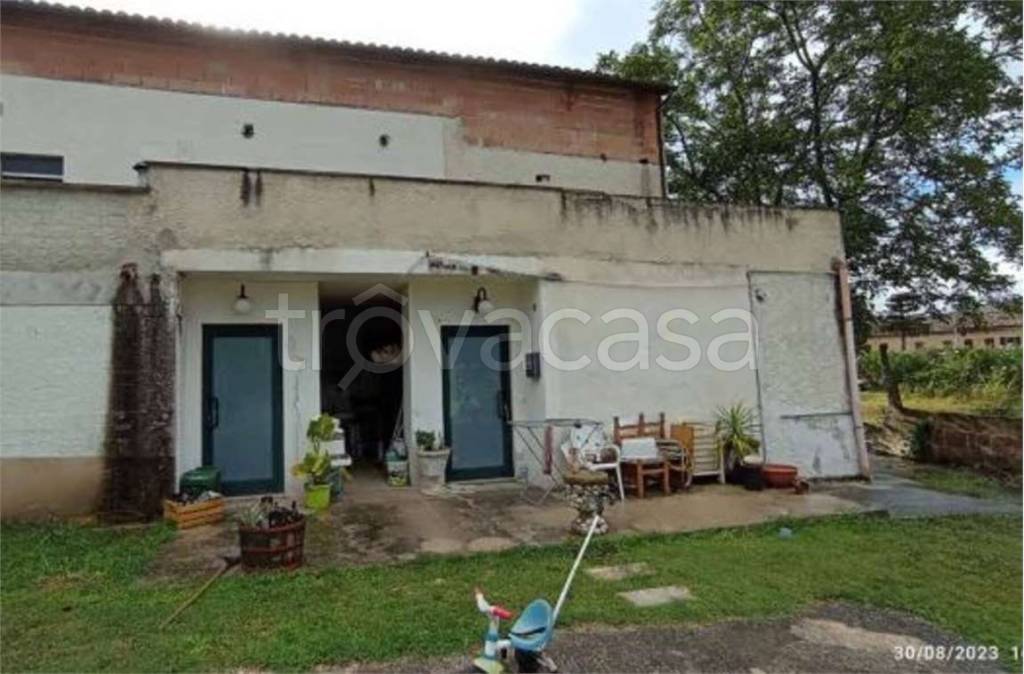 immagine annuncio 3 di 14