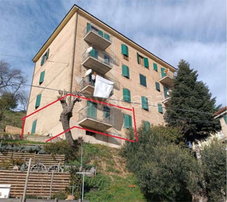 immagine annuncio 5 di 15