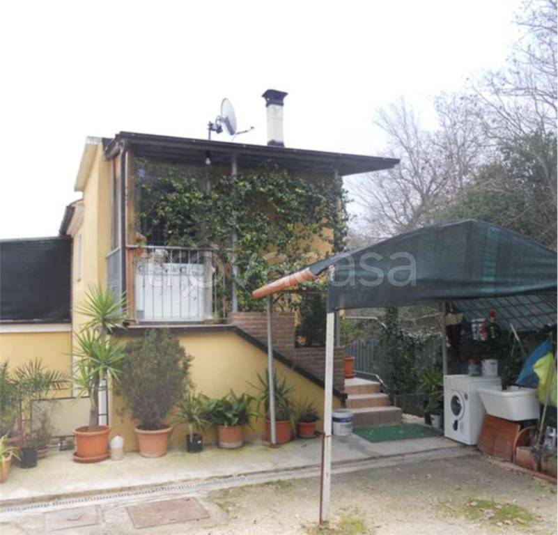 immagine annuncio 1 di 14
