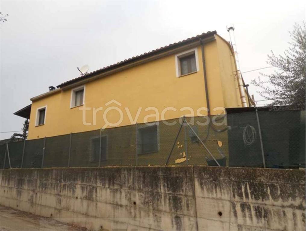 immagine annuncio 9 di 14