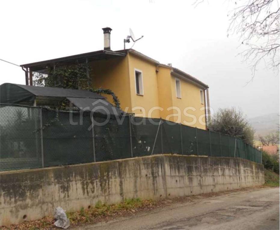immagine annuncio 10 di 14