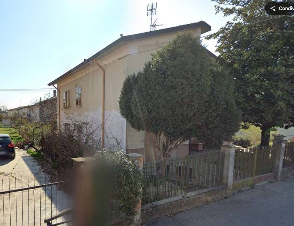 immagine annuncio 5 di 11
