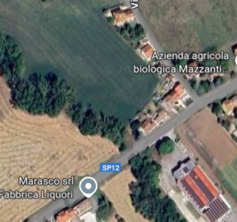 immagine annuncio 9 di 12
