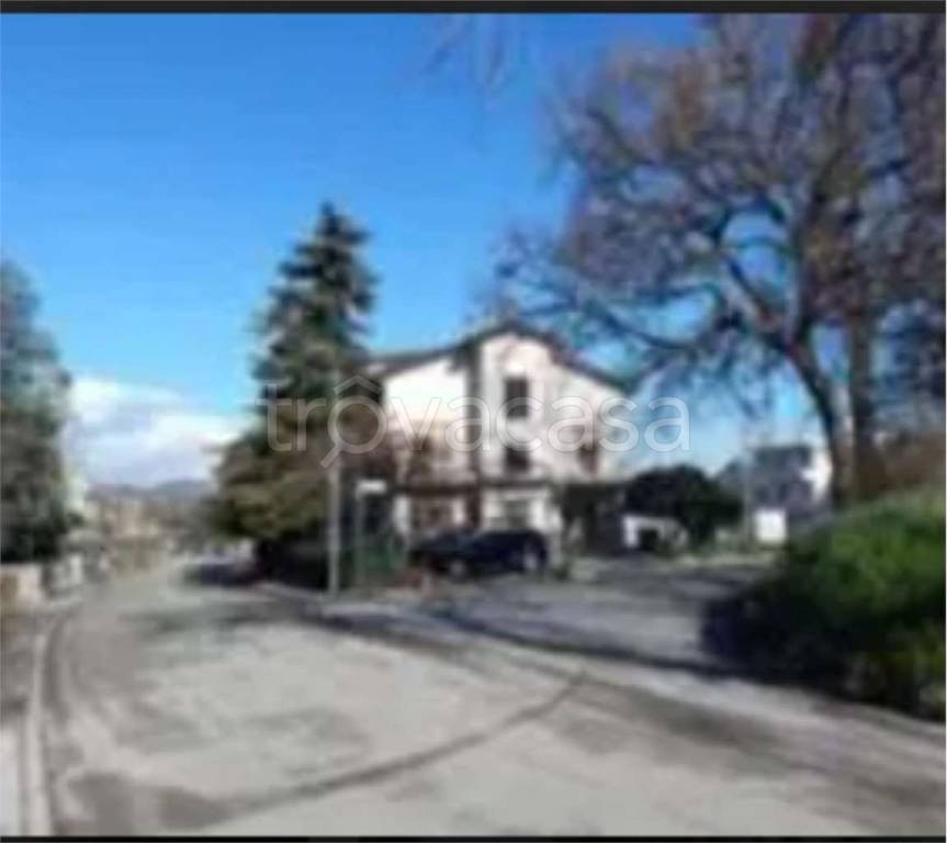 immagine annuncio 11 di 14