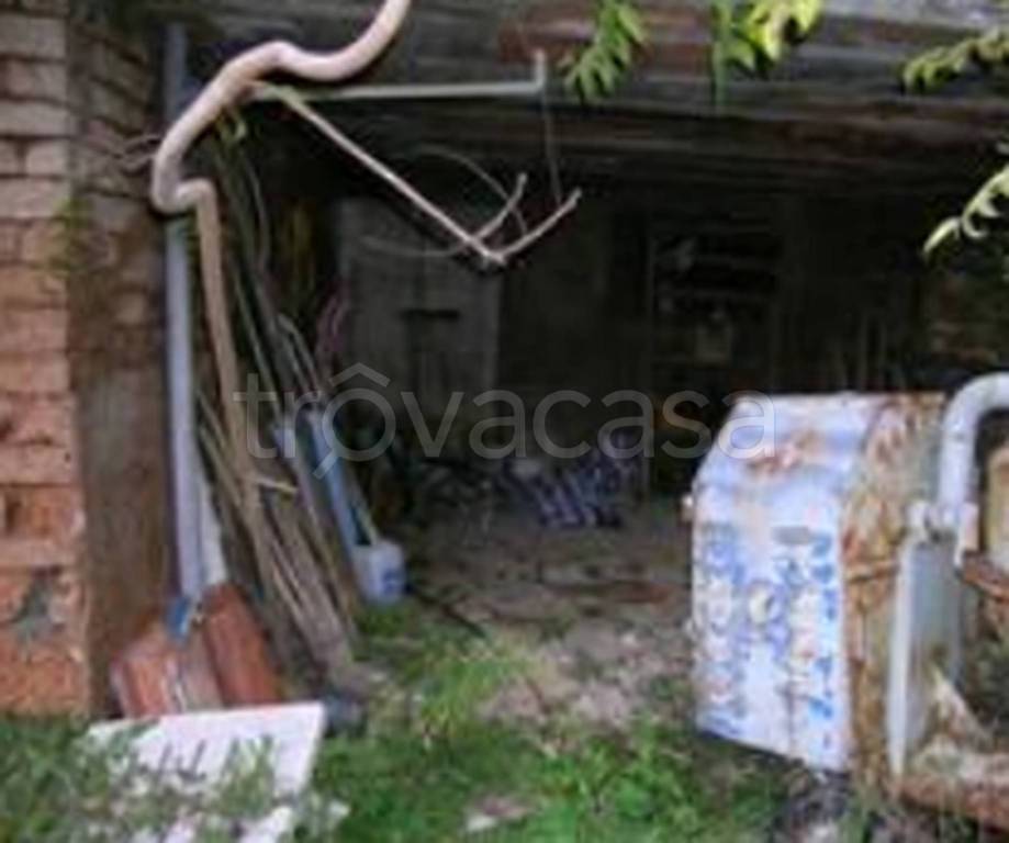 immagine annuncio 5 di 12