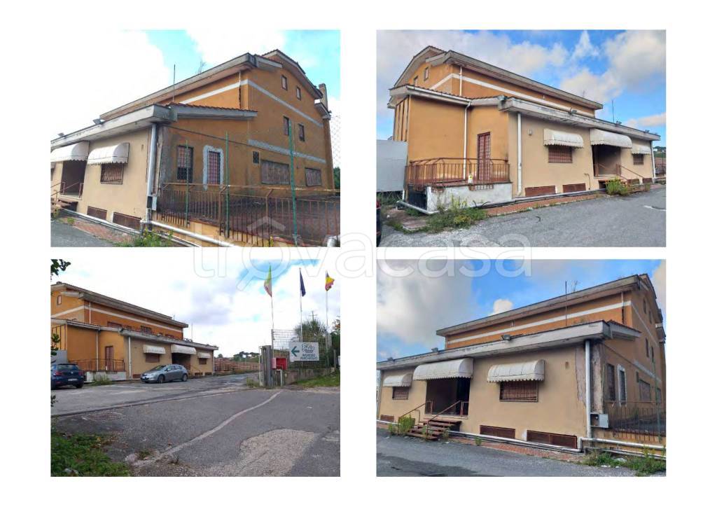 immagine annuncio 4 di 9