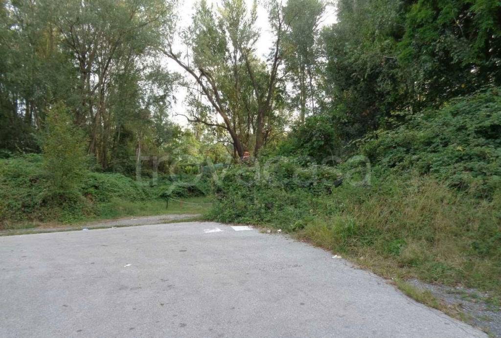immagine annuncio 2 di 7