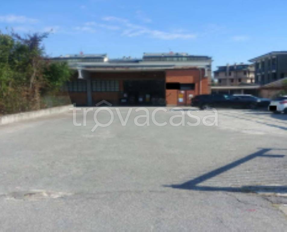 immagine annuncio 2 di 11