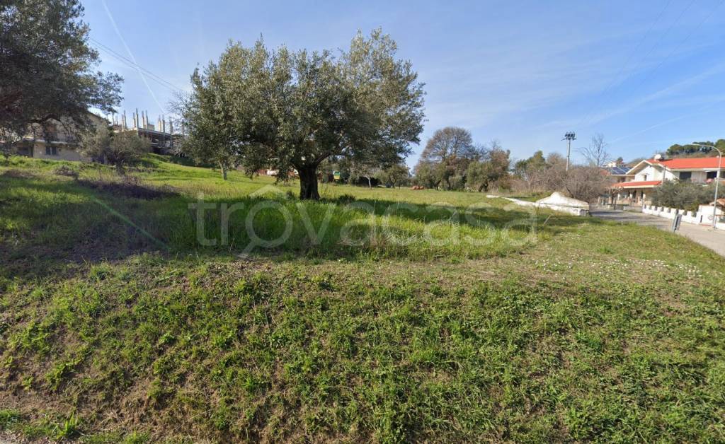 immagine annuncio 1 di 2