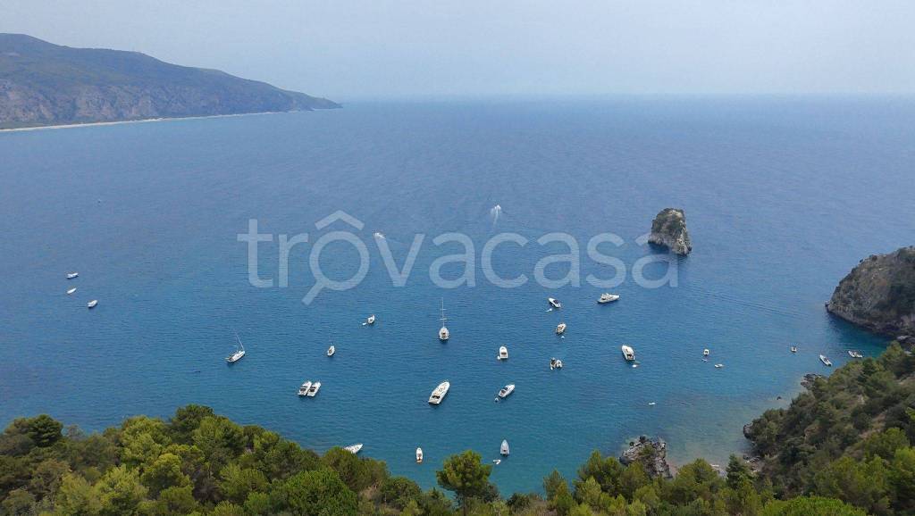 immagine annuncio 3 di 8