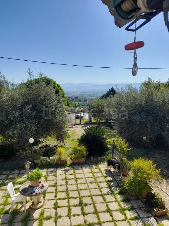 immagine annuncio 8 di 14