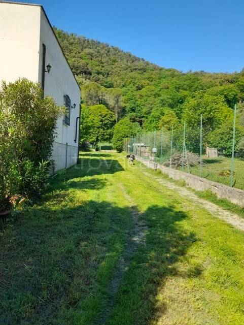 immagine annuncio 12 di 14