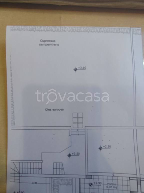 immagine annuncio 3 di 4