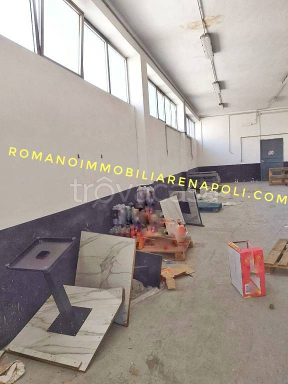 immagine annuncio 10 di 14