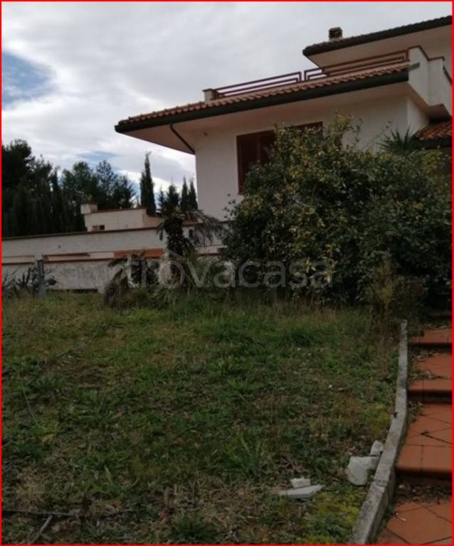 immagine annuncio 2 di 11