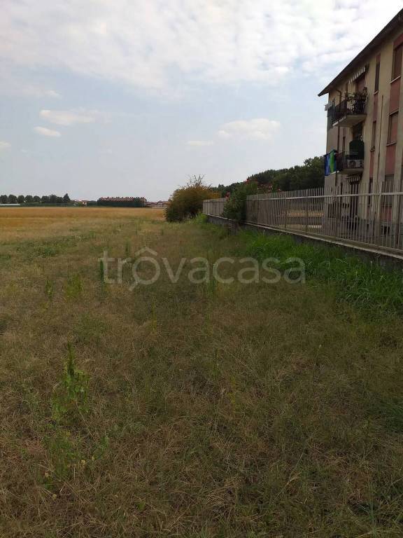 immagine annuncio 3 di 7