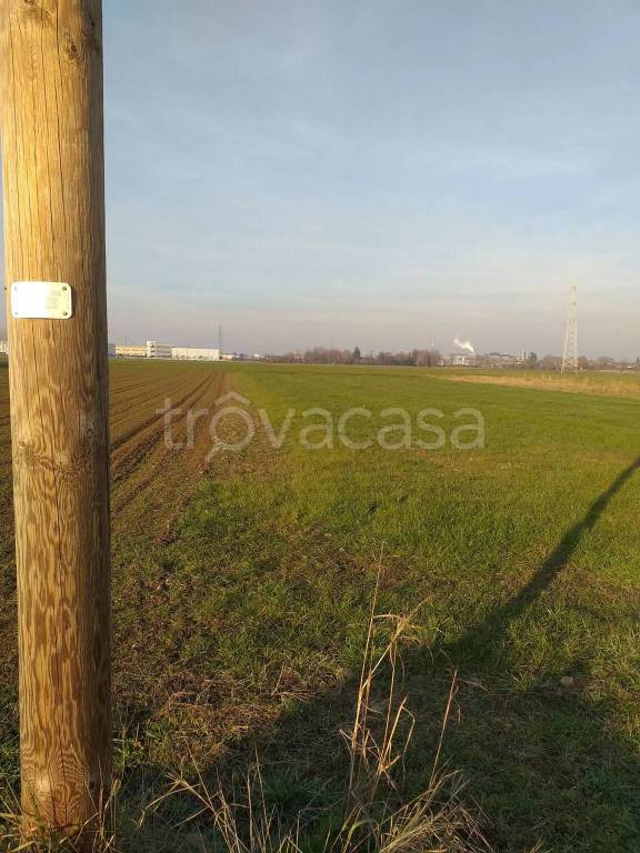 immagine annuncio 2 di 7