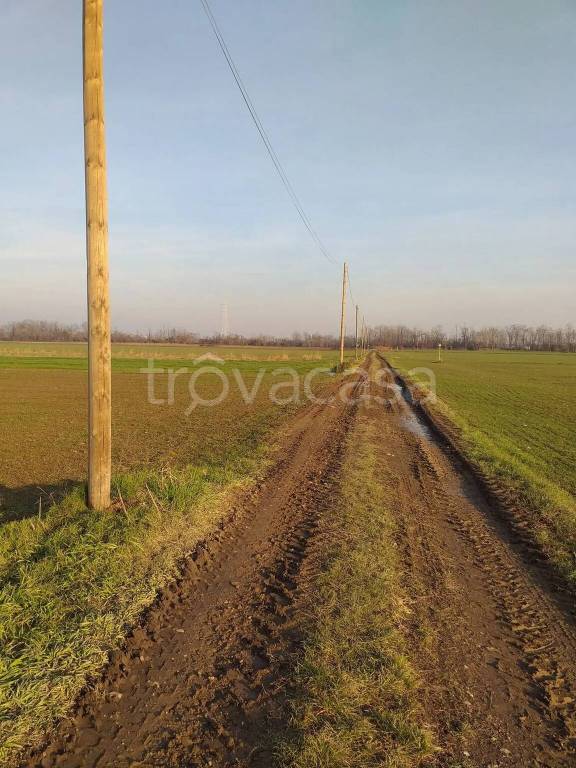 immagine annuncio 3 di 7