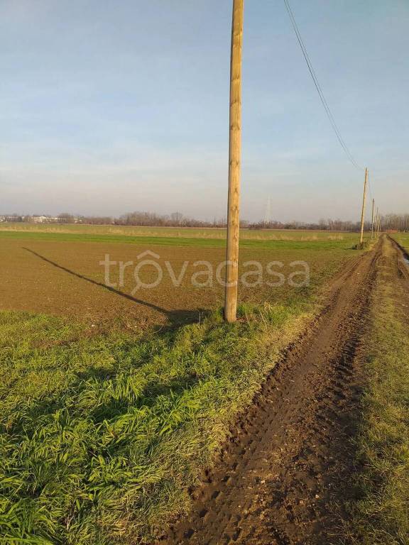 immagine annuncio 4 di 7