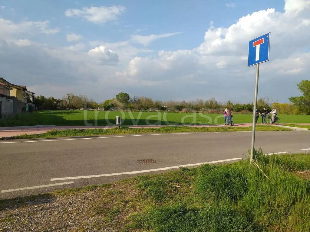 immagine annuncio 3 di 7