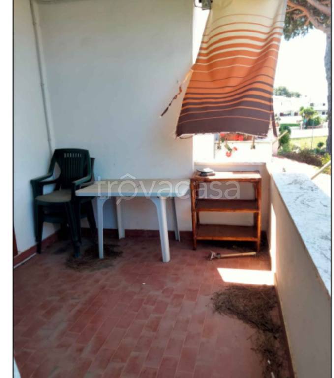 immagine annuncio 10 di 12