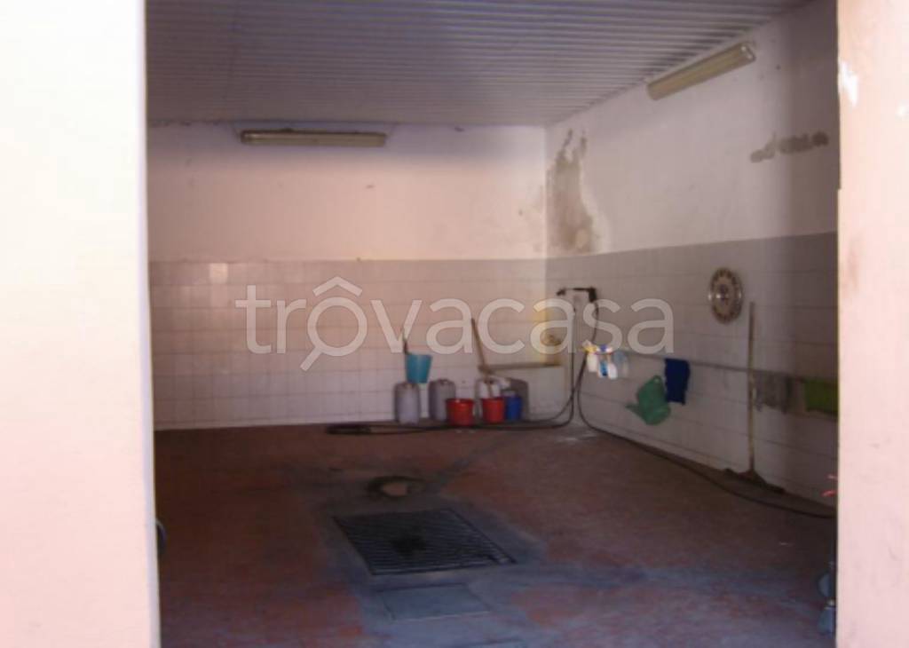 immagine annuncio 5 di 11