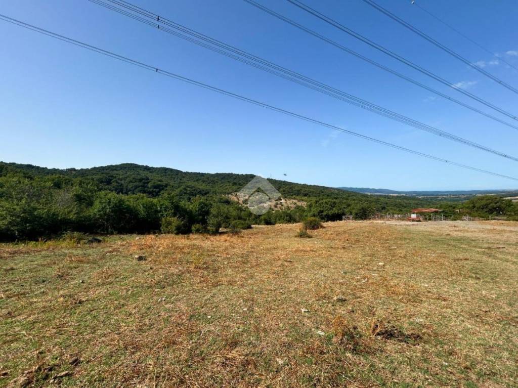 immagine annuncio 8 di 14