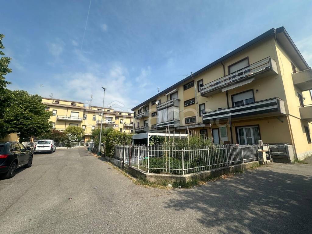 immagine annuncio 1 di 2