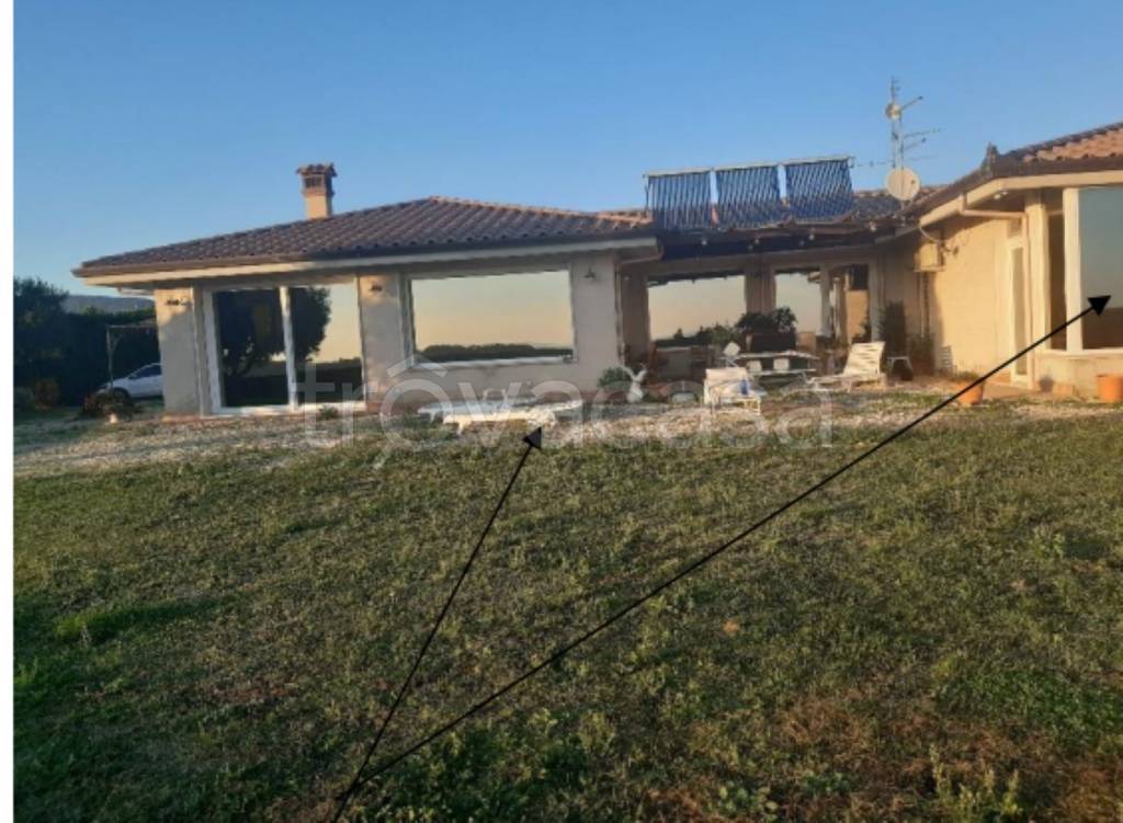 immagine annuncio 4 di 12