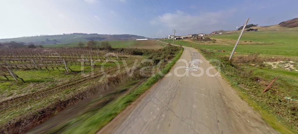 immagine annuncio 10 di 12