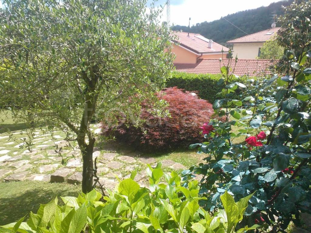 immagine annuncio 1 di 6
