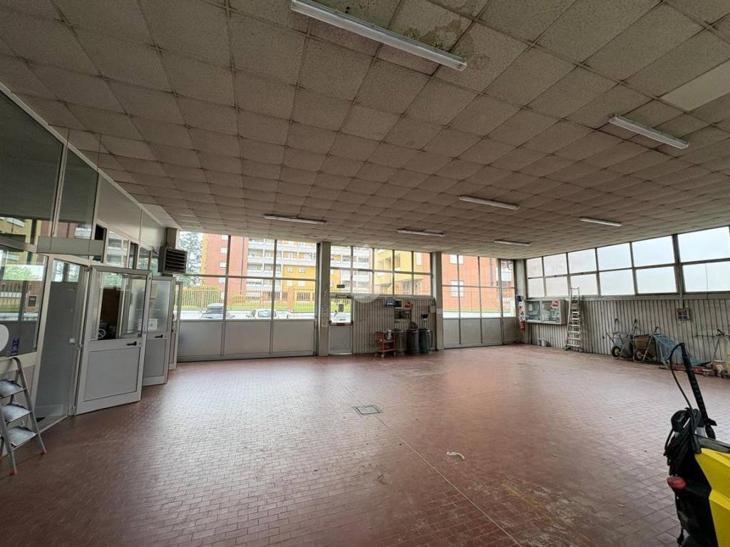 immagine annuncio 1 di 15